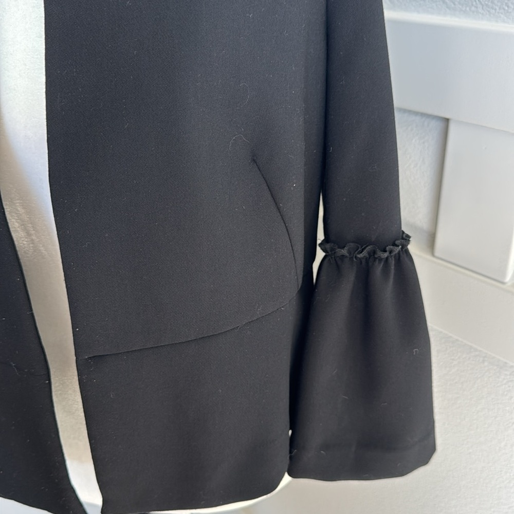 Zara basic collection jacket - Picture 2 of 4